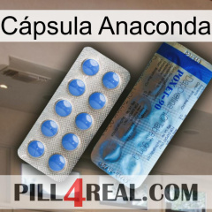 Cápsula Anaconda 40